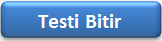 Sınavı Bitir