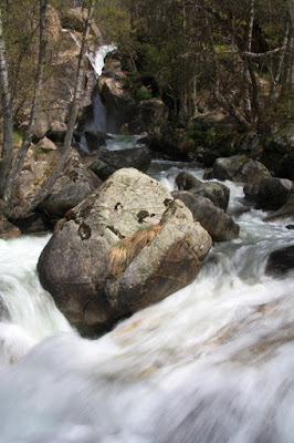 Cascada del Moli del Salt