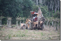 Jom berkebun 13.2.2011 2 037