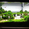 Cara Membuat Hardscape Aquascape