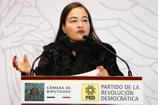 coordinadora del Grupo Parlamentario del PRD, Verónica Juárez Piña