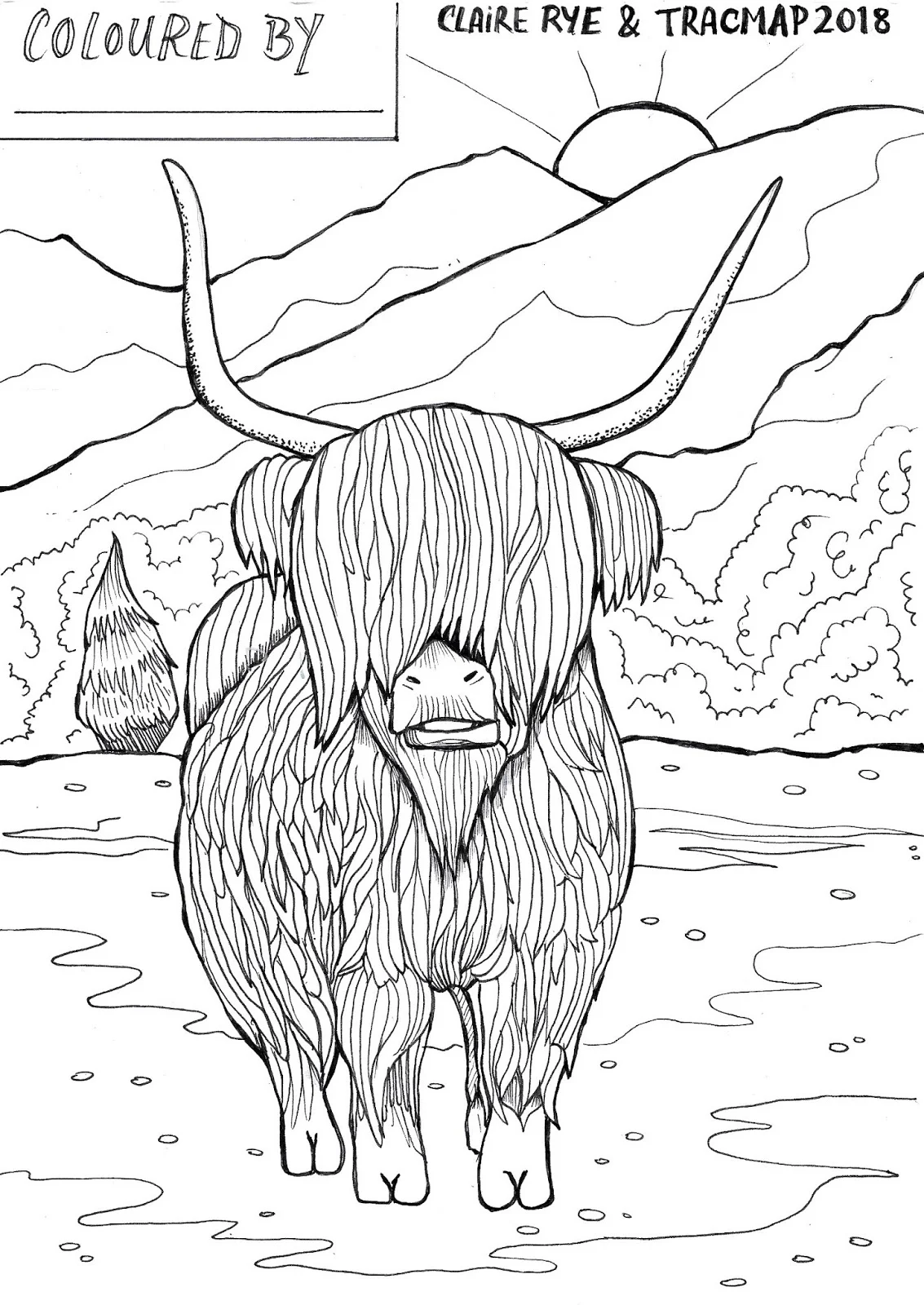 Highland Cow Pages Coloring Pages