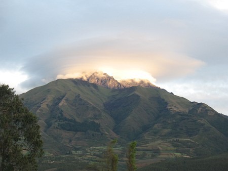 IMG_7933_450x338