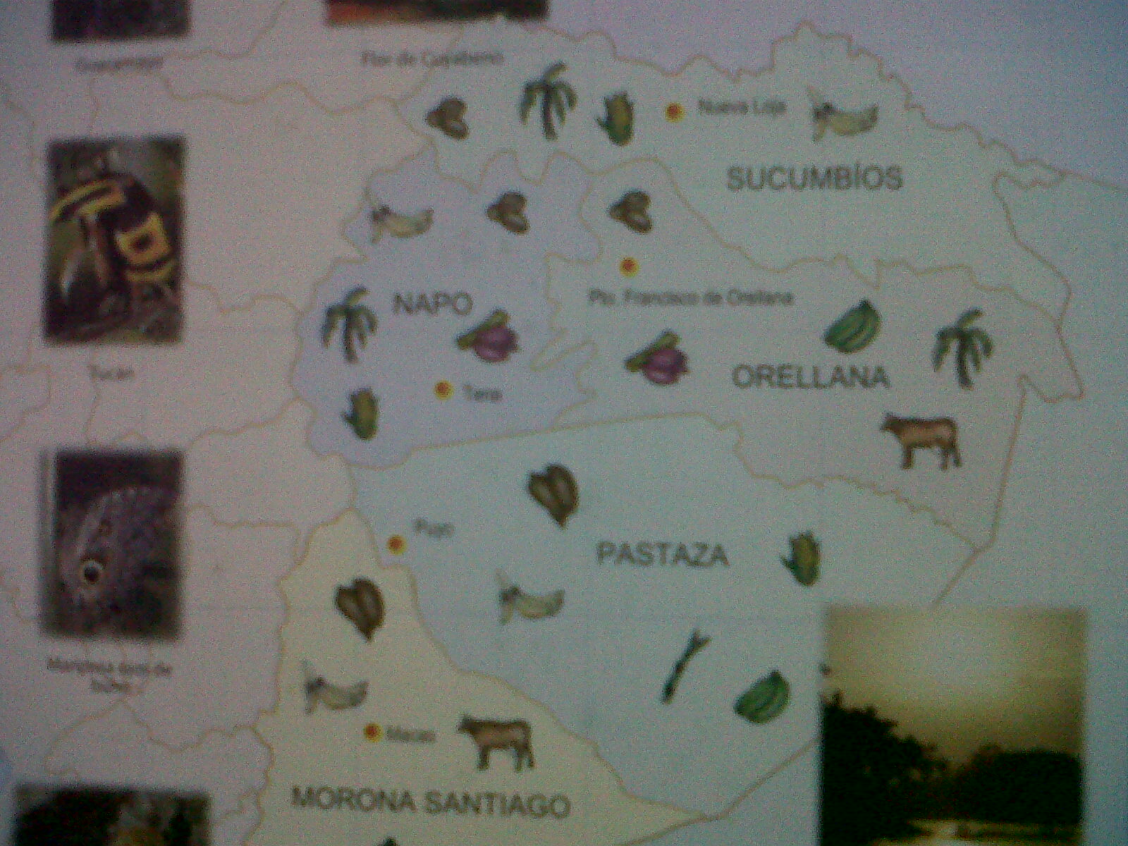 Entretintas Mapa De Productos Agricolas En Ecuador