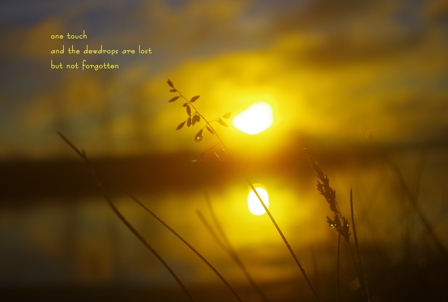 http://fineartamerica.com/featured/golden-sunrise-tim-beebe.html