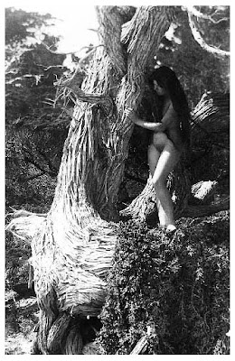 Some vintage nudism pics