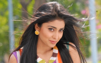 Shriya Saran Sweet HD Wallpaper