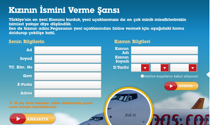 BİR UÇAĞIN İSMİNİ TAŞIMASI İLE ROMANTİZM İLİŞKİSİ