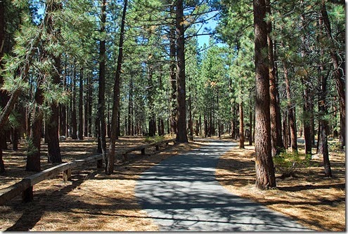 New Shady Rest Bike Trail