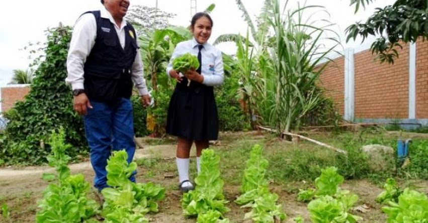 Escolares de Tumbes destacan por el buen uso del agua en sus huertos escolares promovidos por el Midis Qali Warma - www.qaliwarma.gob.pe