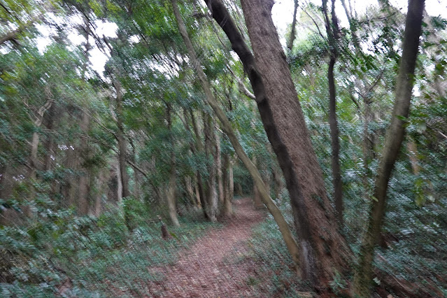 島根県安来市安来町 十神山城跡