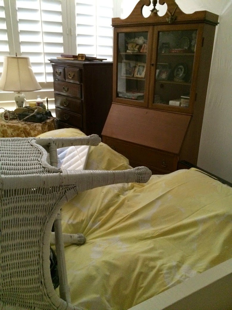 IMG 7586