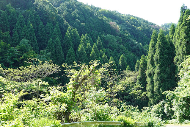 鳥取県西伯郡南部町東上 鎌倉山グリーンライン