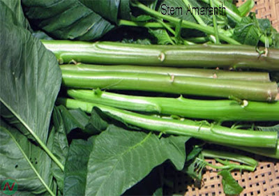 stem amaranth