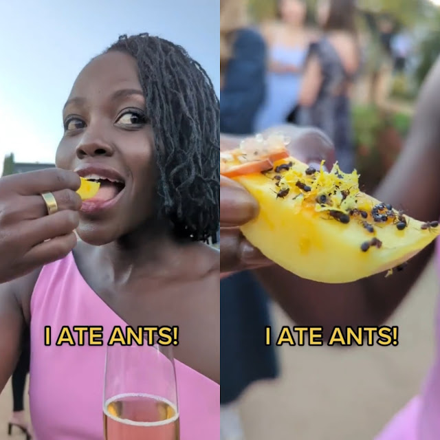 Lupita Nyong'o eats soldier ants at an event 