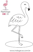 flamingo