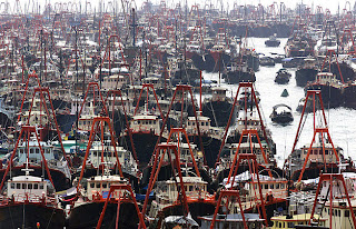 overfishing_oceans_running_out_of_fish