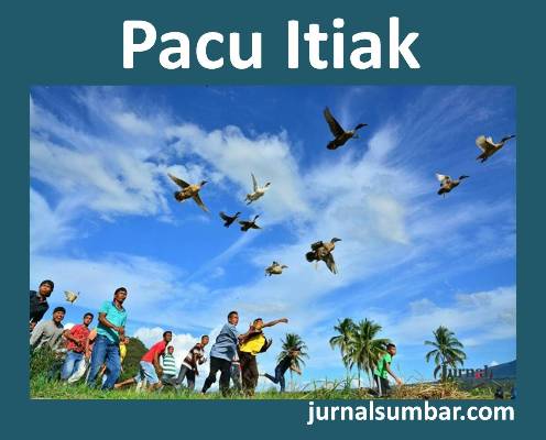 puisi pacu itiak