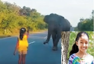 Little Girl Scares Off Elephant