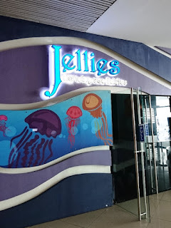 Manila Ocean Park's Jellies: Dancing Sea Fairies Exhibit