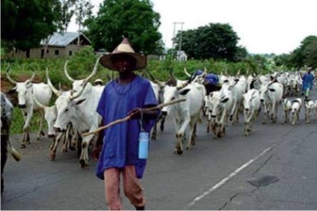 Cattle Breeders to fish out Kidnappers 