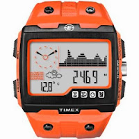 Timex Expedition WS4 Widescreen 4-Function Watch