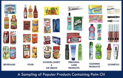 Palm oil