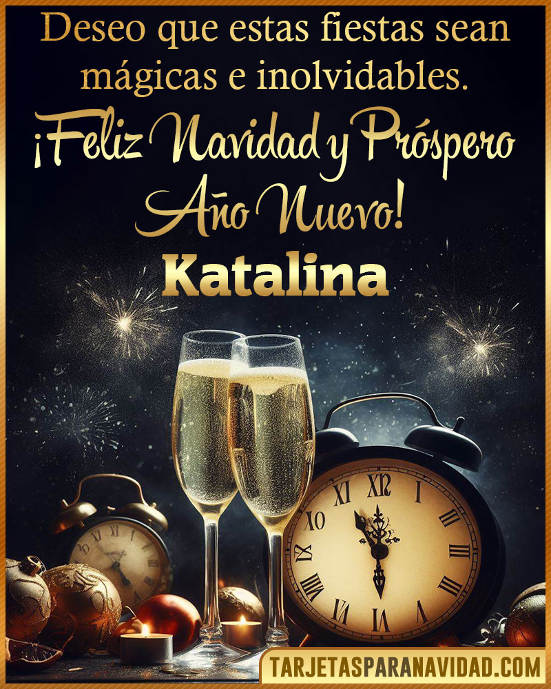 Feliz Navidad y Próspero Año Nuevo Katalina
