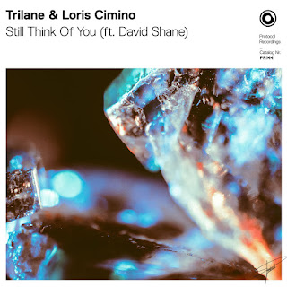 MP3 download Trilane & Loris Cimino – Still Think of You (feat. David Shane) – Single iTunes plus aac m4a mp3