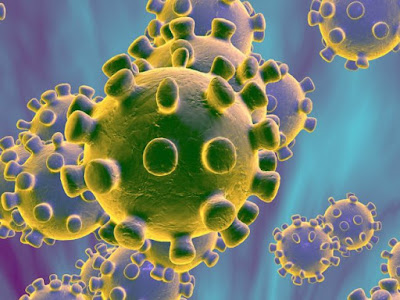 Virus Corona : Segalanya Yang Anda Perlu Tahu