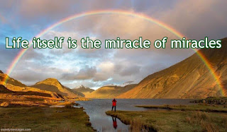 life is miracle quotes