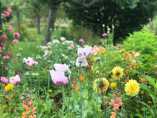 foto de canteiro florido do jardim Clos Normand