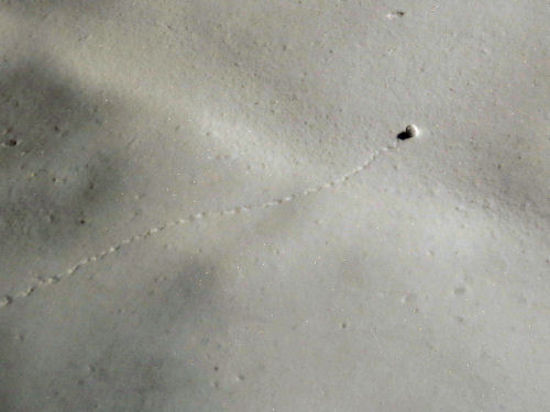 snowball tracks