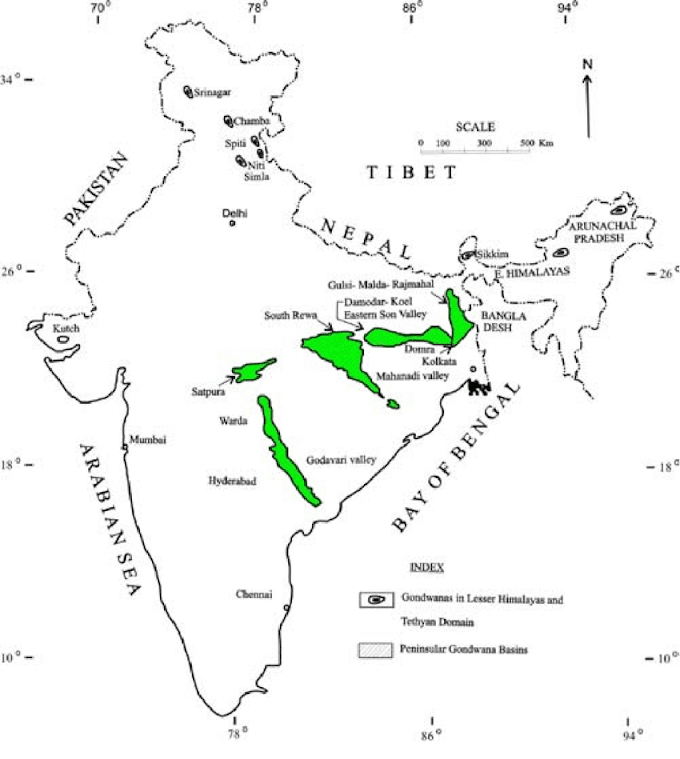 Economic importance of gondwana system 