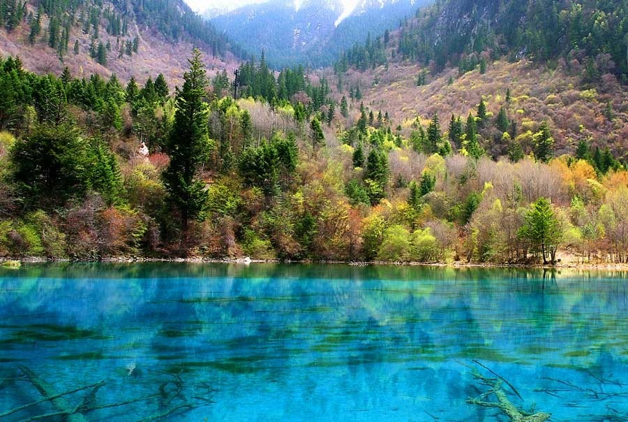 five-flower-lake-6