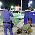  La Policía aprehendió a un hombre que intentó robar la estatua de la Plaza de la Madre en Clorinda