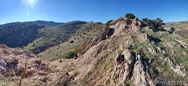 Cornicabral del Valle de Lifa