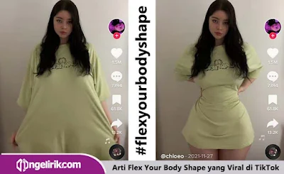 Arti Flex Your Body Shape