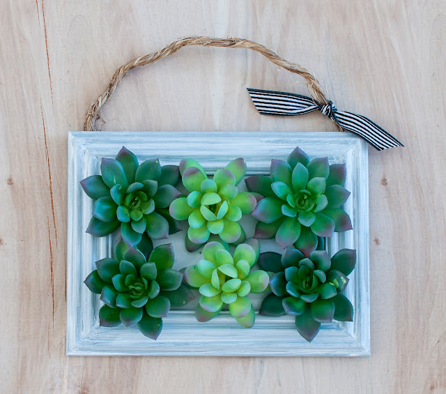 How to Make Framed Succulents With Dollar Store Supplies