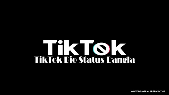 টিক টক বায়ো স্ট্যাটাস বাংলা/TikTok Bio Status Bangla