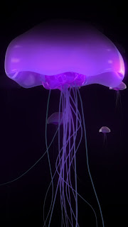 Purple Jellyfish iPhone 5 Wallpapers