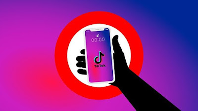 How To Become TikTok Famous in 2021