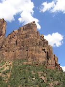 . yellow, orangeybrown rock, green foliage, deep azure sky, . (utah )