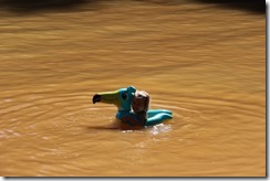 IMG_2520 IMG_2520