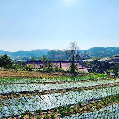태안 안면읍 전으로 사용되는 공간