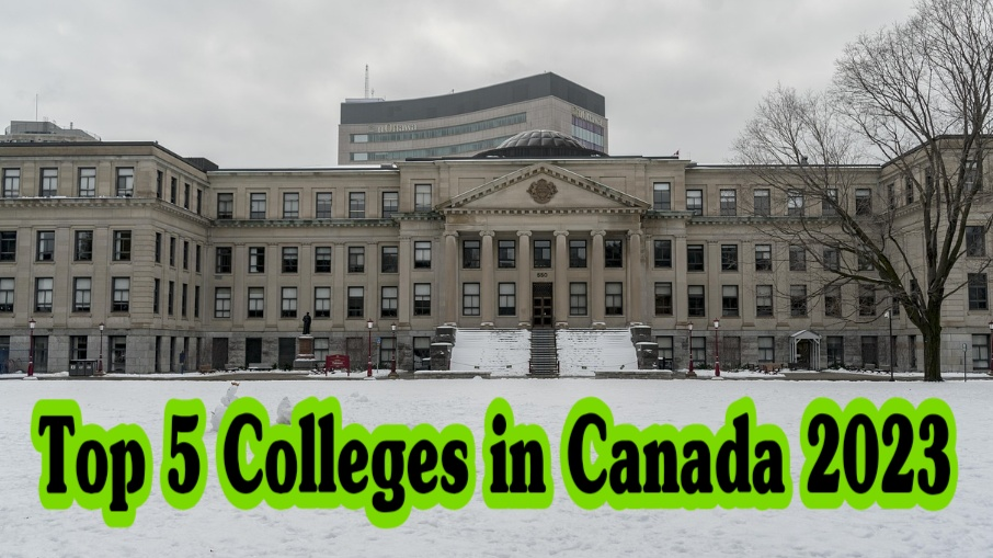 Top 5 Colleges in Canada 2023