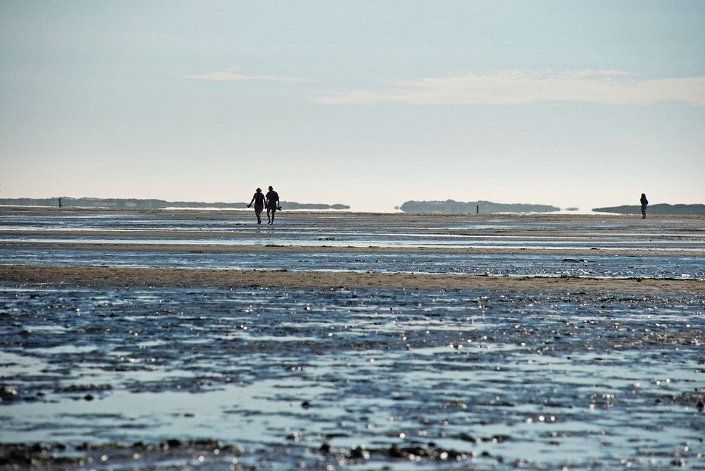 wadden-sea-hiking-7 wadden-sea-hiking-7