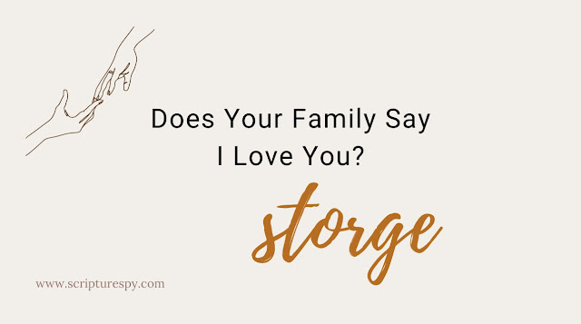 Does Your Family Say I Love You?