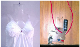 Anti-Rape Bra