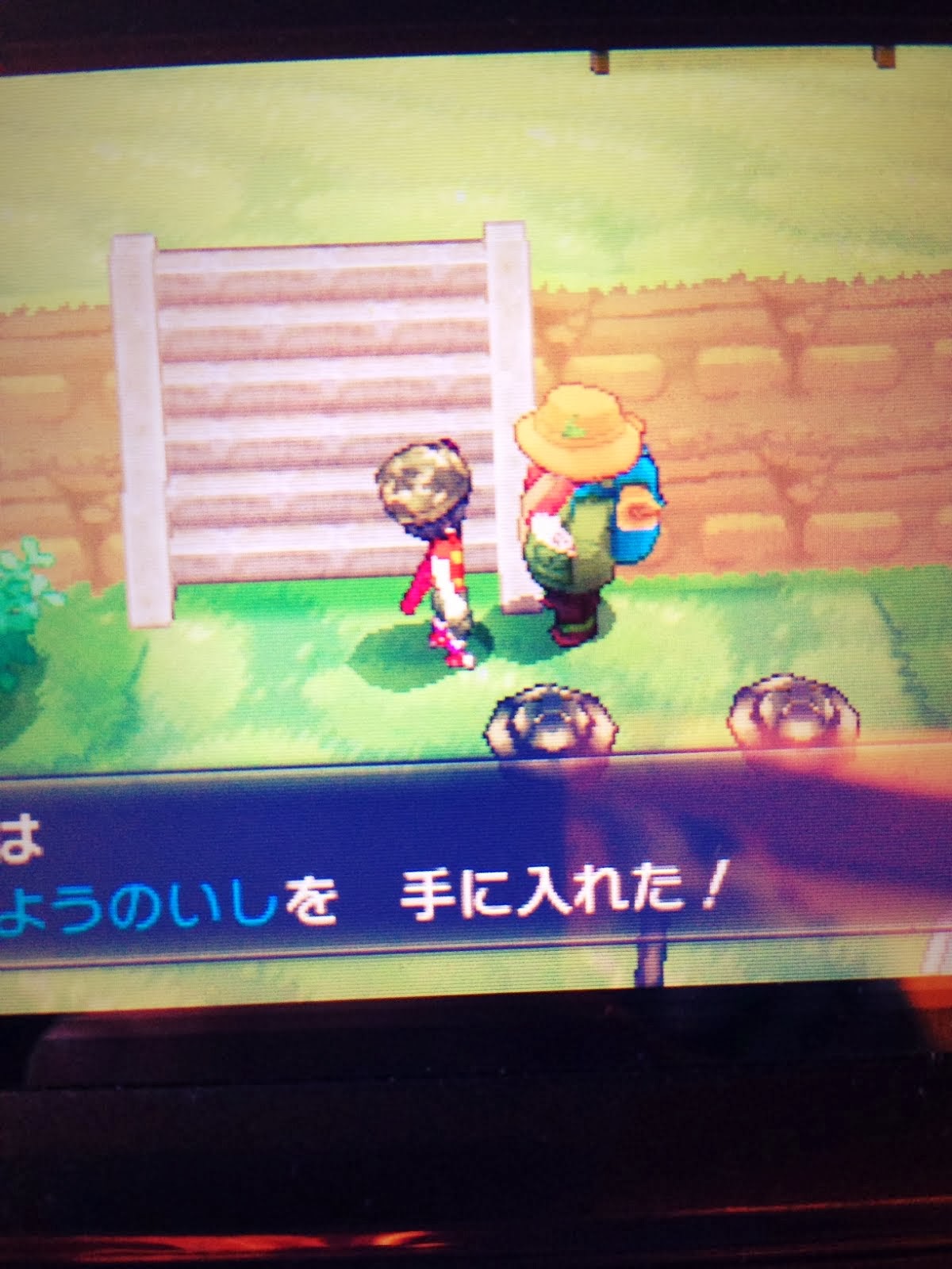 バインド タクト 火山学 ポケットモンスター Xy ひかり の いし Bryggholmen Org バインド タクト 火山学 ポケットモンスター Xy ひかり の いし Bryggholmen Org